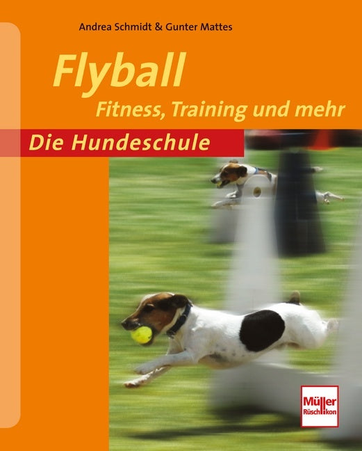 Flyball (Andrea Schmidt)