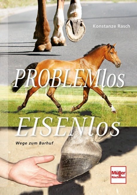 Problemlos Eisenlos (Konstanze Rasch)