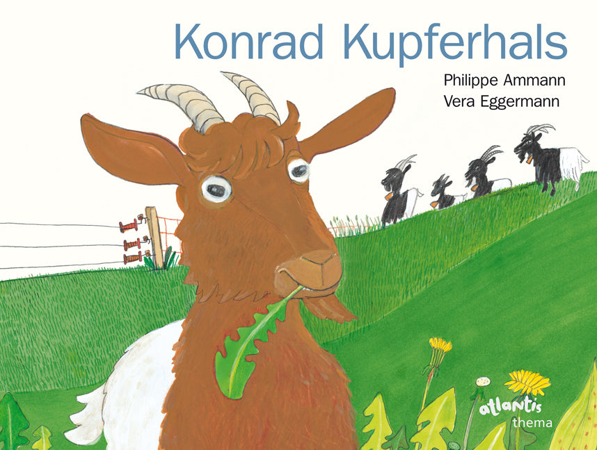 Konrad Kupferhals (Philippe Ammann)
