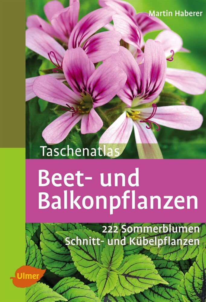 Beet- und Balkonpflanzen (Martin Haberer)