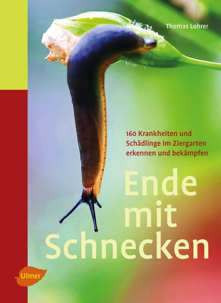 Ende mit Schnecken (Thomas Lohrer)