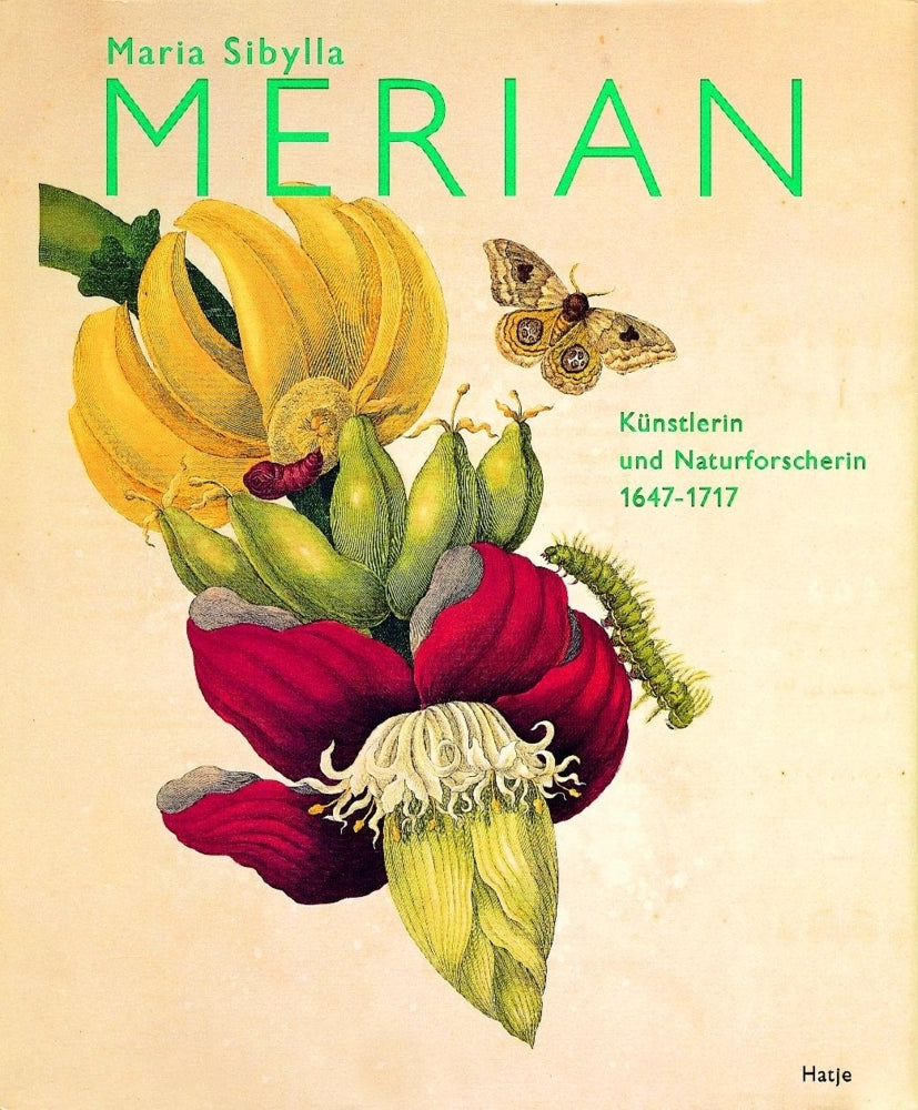 Maria Sibylla Merian (Kurt Wettengl)
