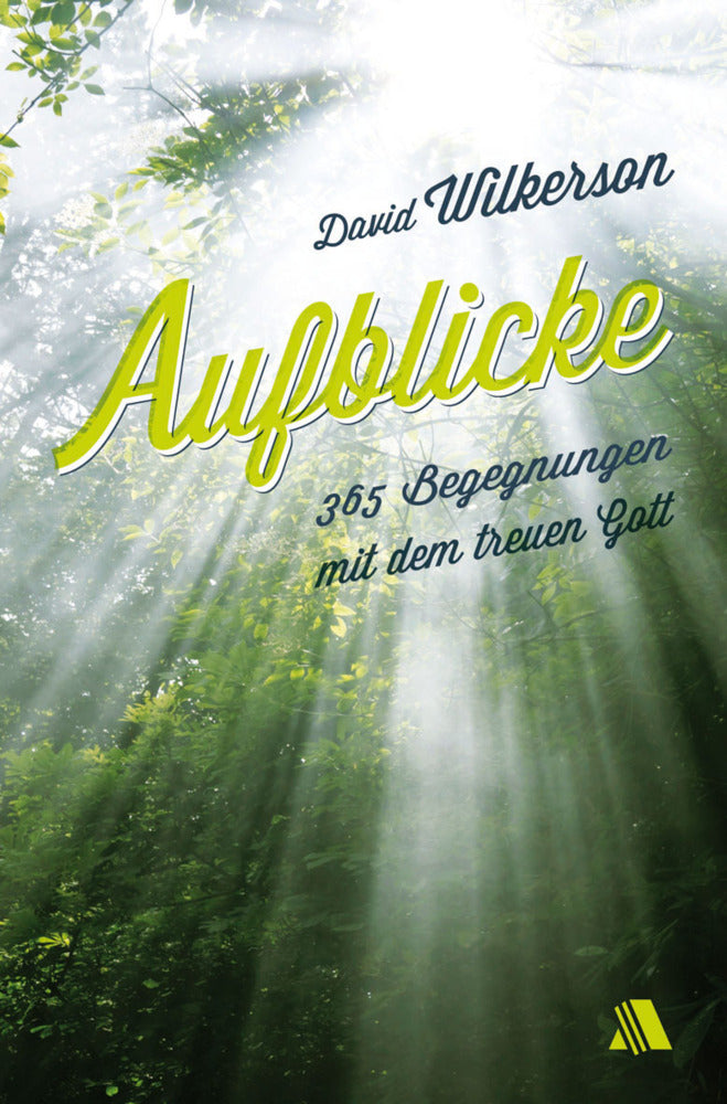 Aufblicke (David Wilkerson)