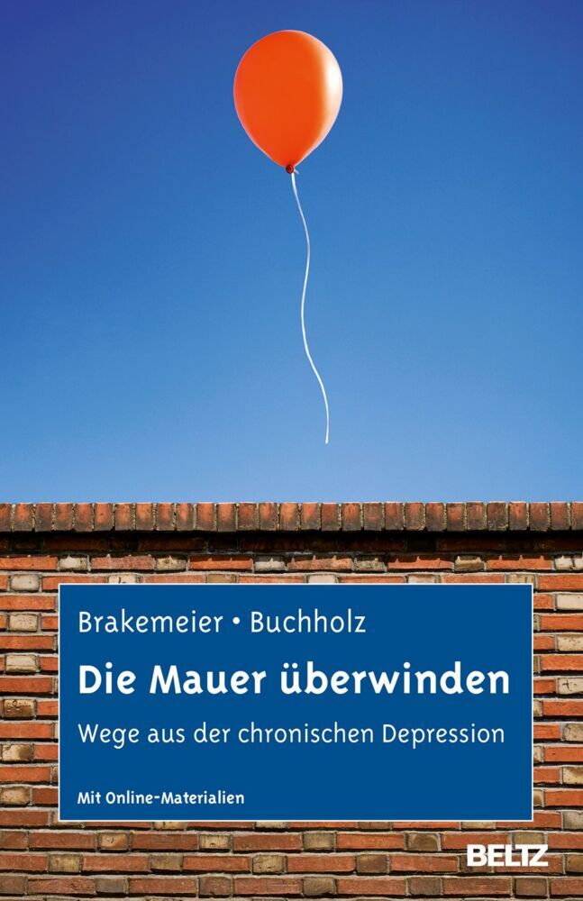 Die Mauer überwinden (Eva-Lotta Brakemeier)