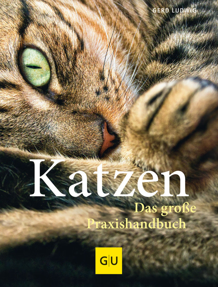 Katzen - Das große Praxishandbuch (Gerd Ludwig)