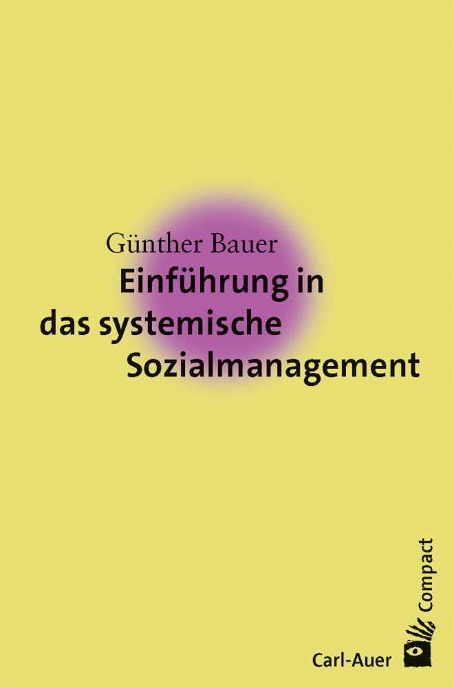 Einführung in das systemische Sozialmanagement (Günther Bauer)