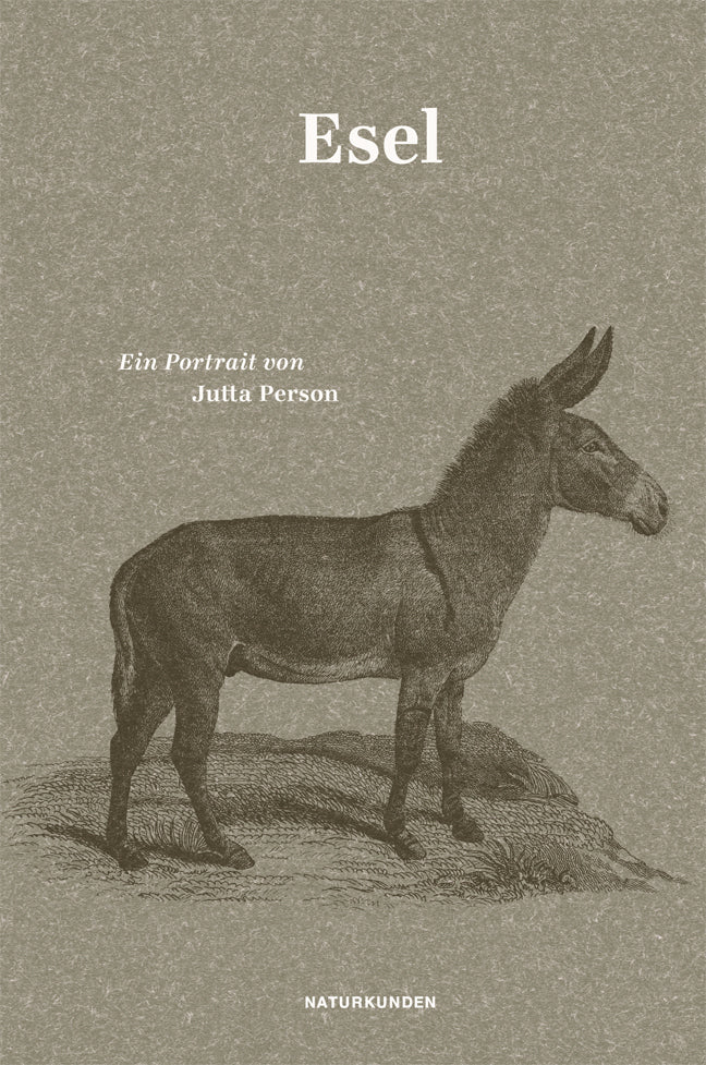 Esel (Jutta Person)