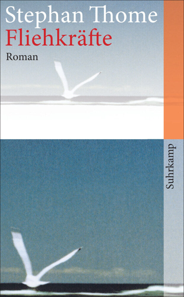Fliehkräfte (Stephan Thome)