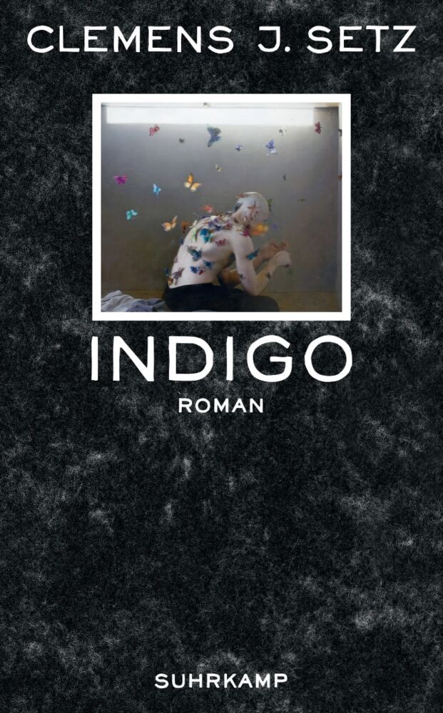 Indigo (Clemens J. Setz)