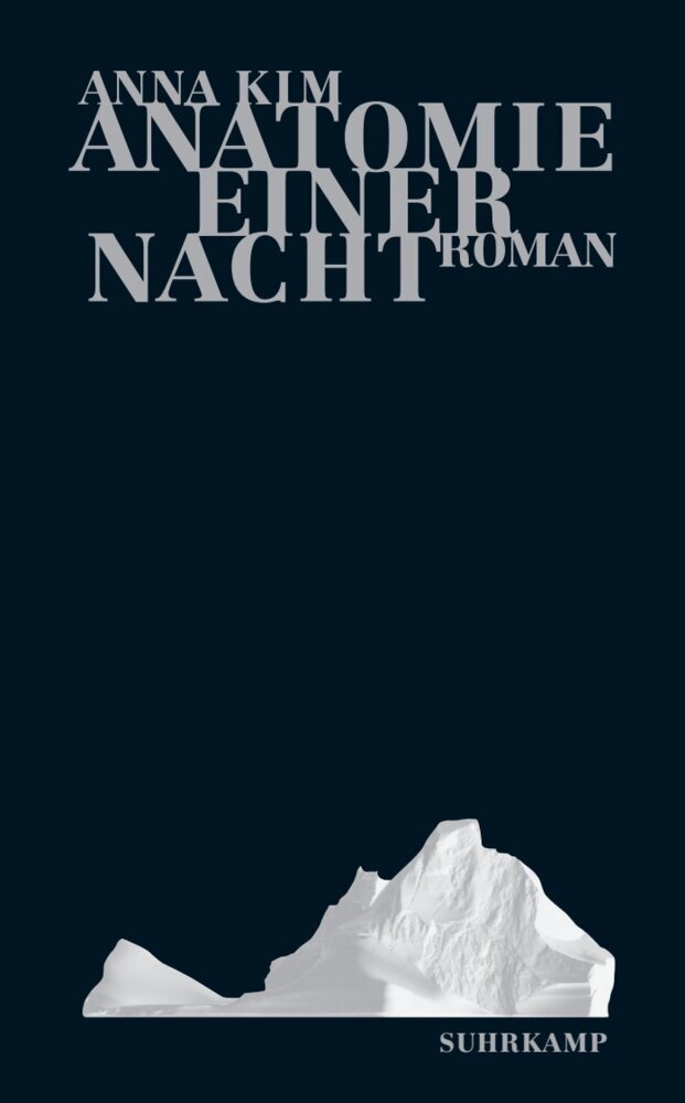 Anatomie einer Nacht (Anna Kim)