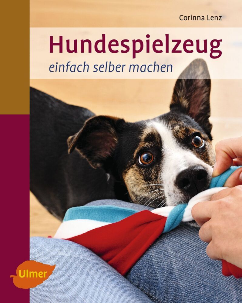 Hundespielzeug einfach selber machen (Corinna Lenz)