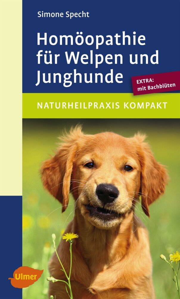Homöopathie für Welpen und Junghunde (Simone Specht)