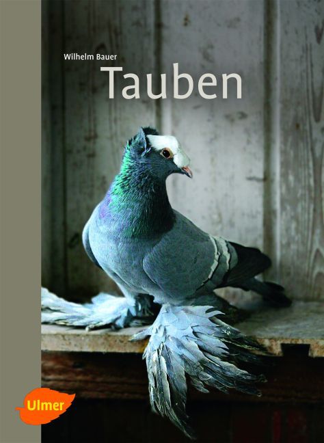 Tauben (Wilhelm Bauer)