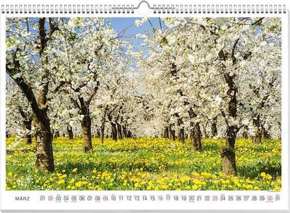 Blütenzauber Premiumkalender 2025