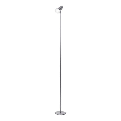 5in1 Tageslicht-Multifunktionslampe (Farbe: silber)