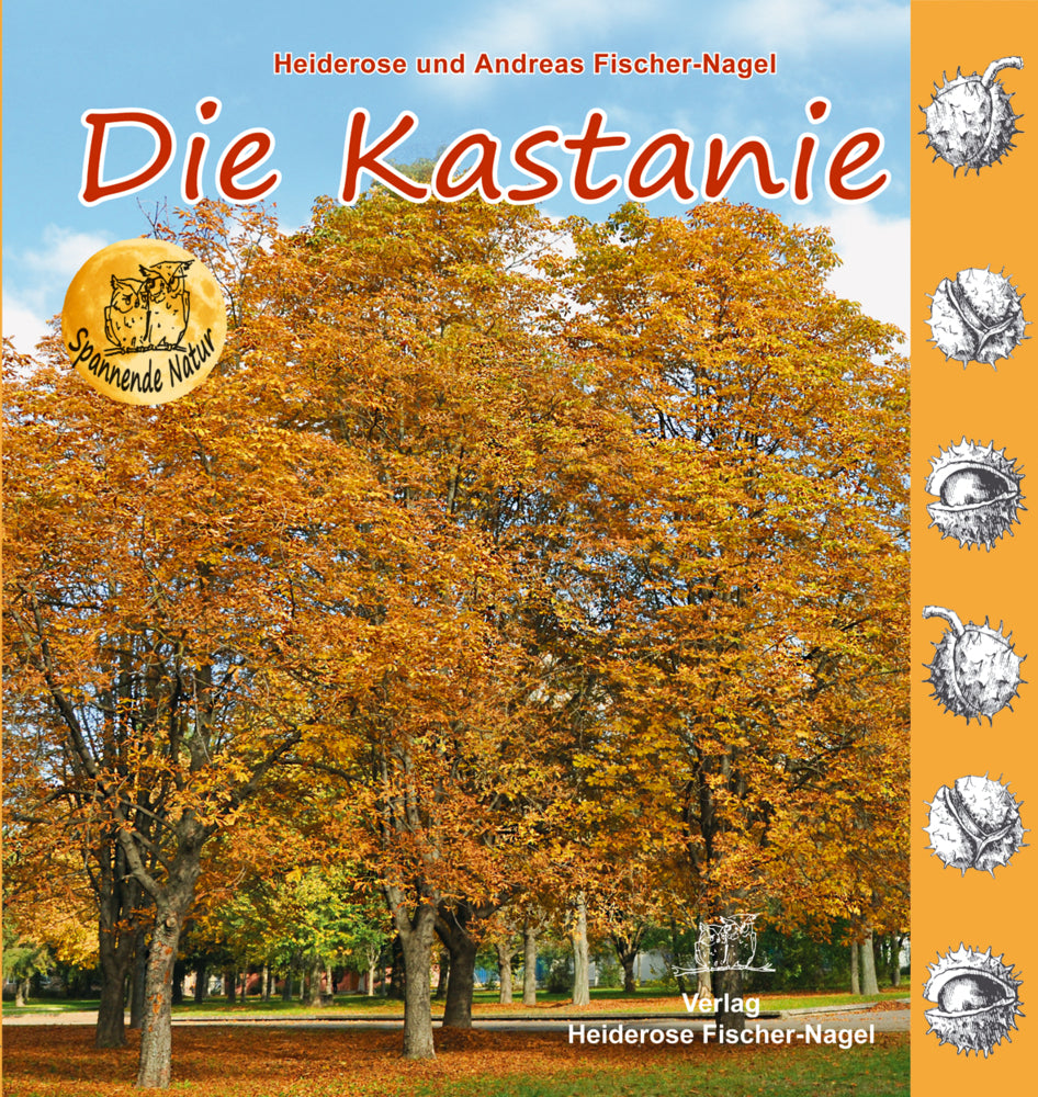 Die Kastanie (Heiderose Fischer-Nagel)