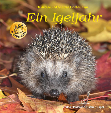 Ein Igeljahr (Heiderose Fischer-Nagel)