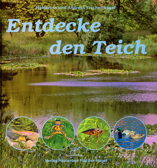 Entdecke den Teich (Heiderose Fischer-Nagel)