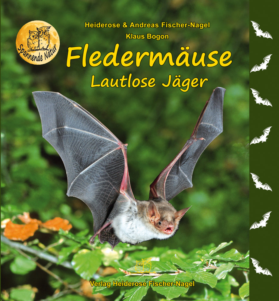 Fledermäuse (Heiderose Fischer-Nagel)