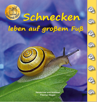 Schnecken (Heiderose Fischer-Nagel)