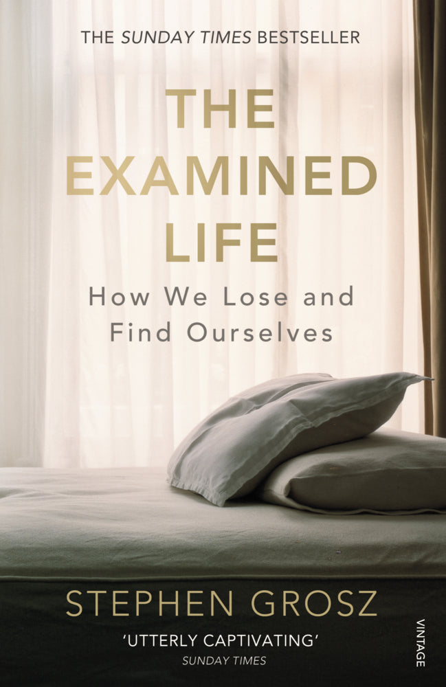 The Examined Life (Stephen Grosz)