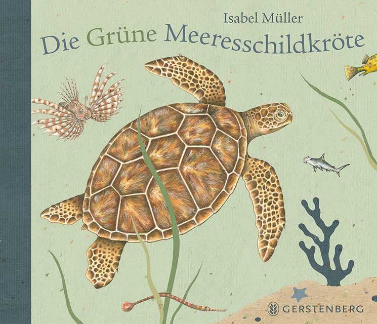 Die Grüne Meeresschildkröte (Isabel Müller)