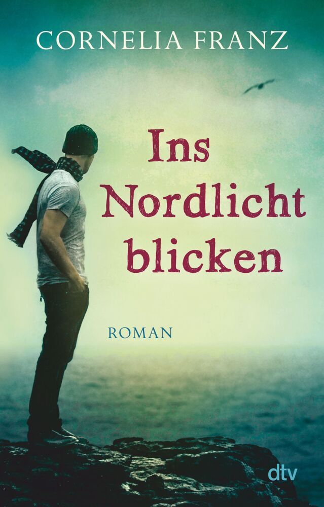 Ins Nordlicht blicken (Cornelia Franz)