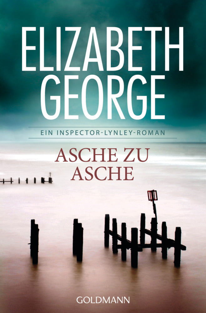Asche zu Asche (Elizabeth George)