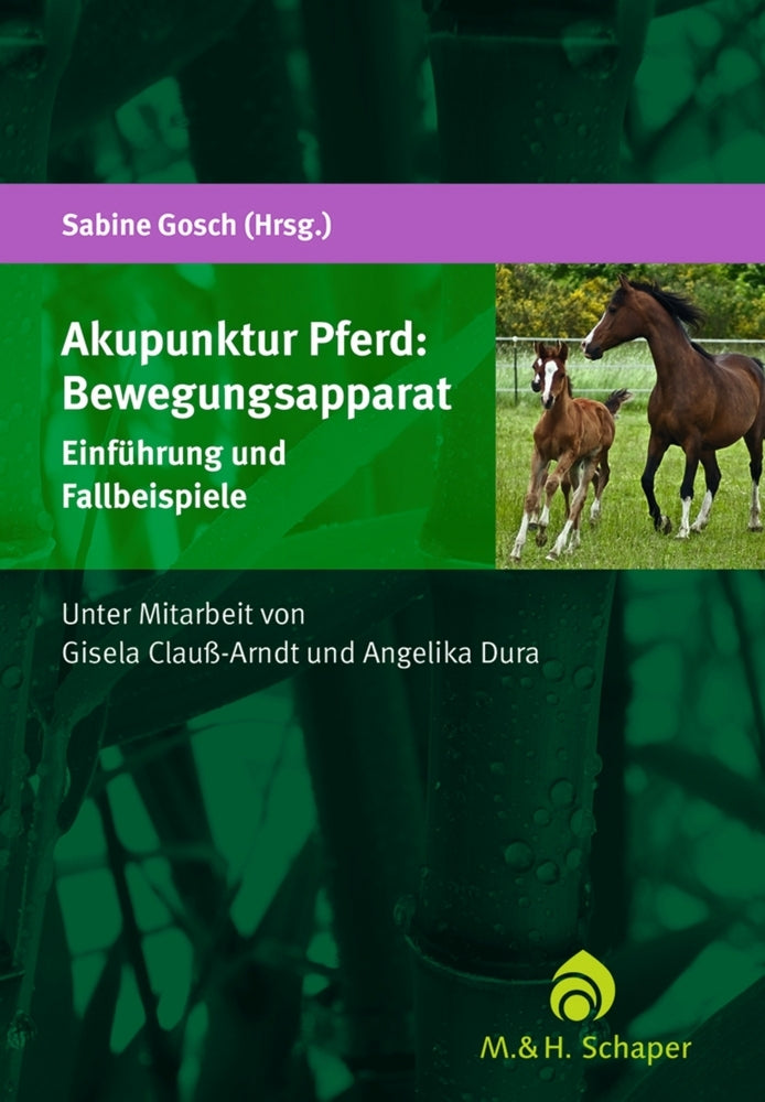 Akupunktur Pferd: Bewegungsapparat (Sabine Gosch)