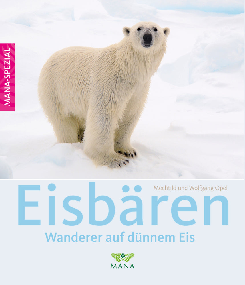 Eisbären (Mechtild Opel)