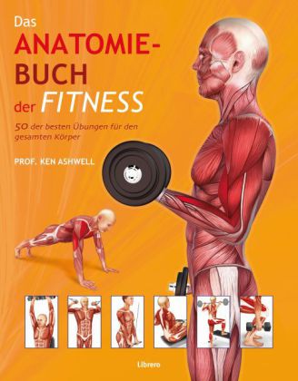 Das Anatomie-Buch der Fitness (Ken Ashwell)