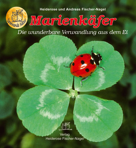 Marienkäfer (Heiderose Fischer-Nagel)