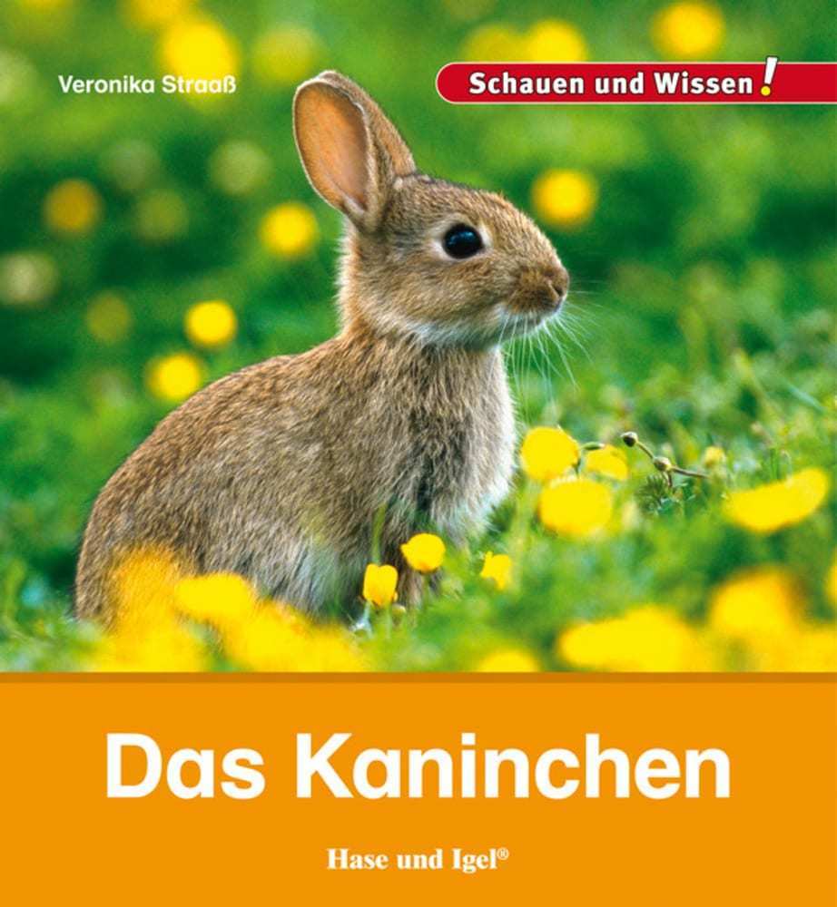 Das Kaninchen (Veronika Straaß)