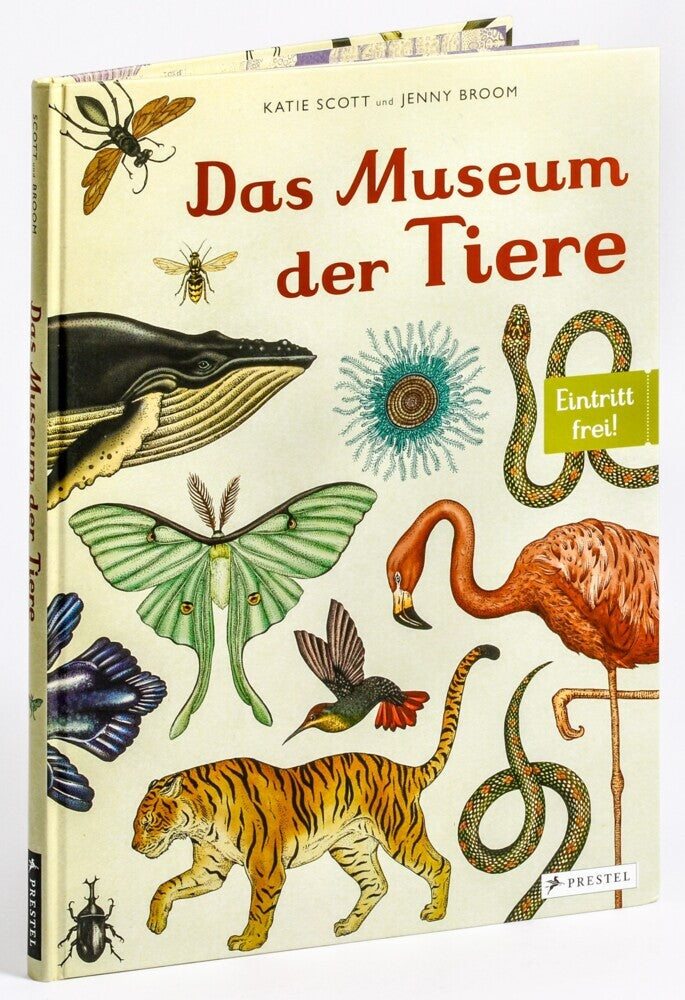 Das Museum der Tiere (Jenny Broom)