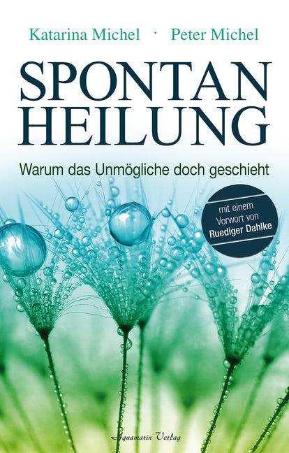 Spontanheilung (Katarina Michel)