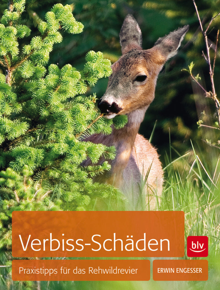 Verbiss-Schäden (Erwin Engeßer)