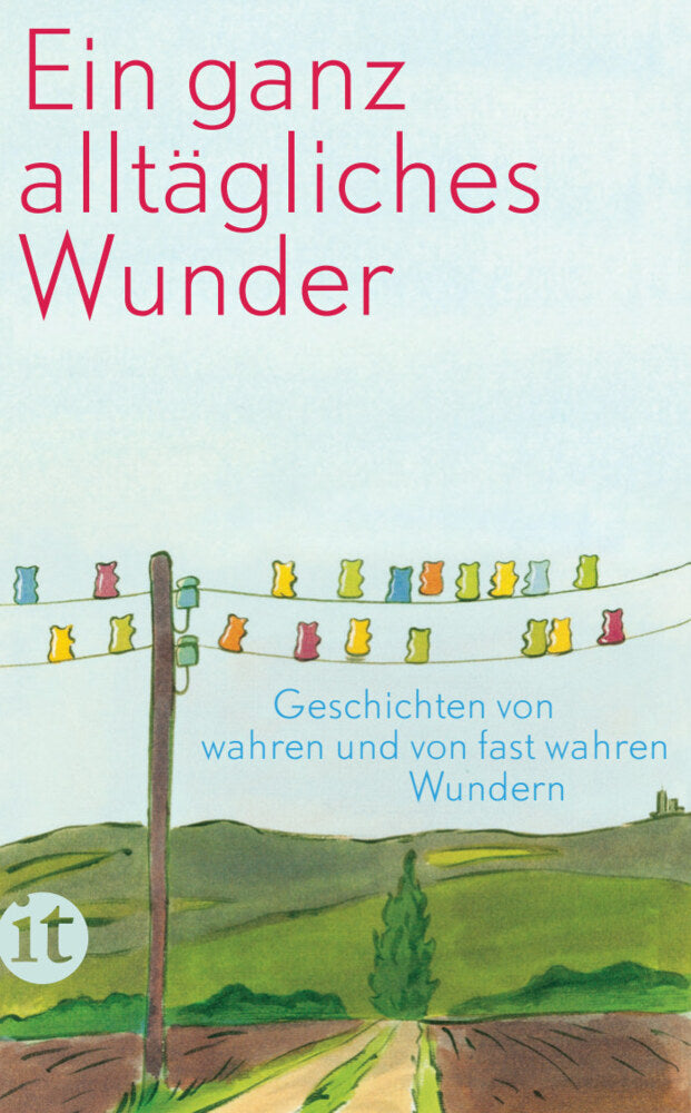 Ein ganz alltägliches Wunder (Clara Paul)