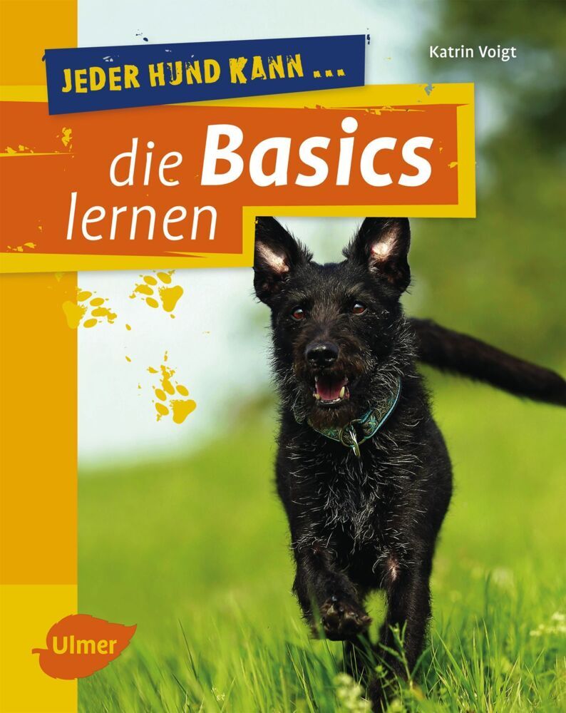 Jeder Hund kann die Basics lernen (Katrin Voigt)