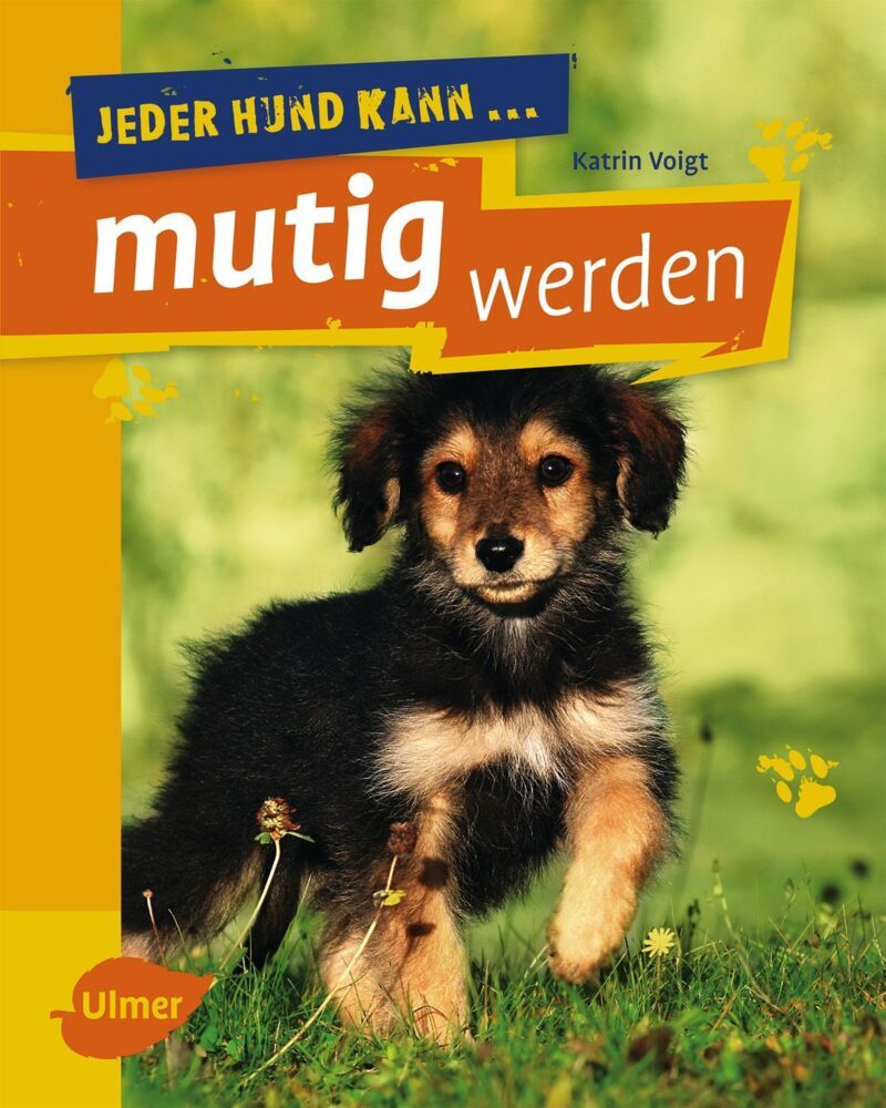 Jeder Hund kann mutig werden (Katrin Voigt)
