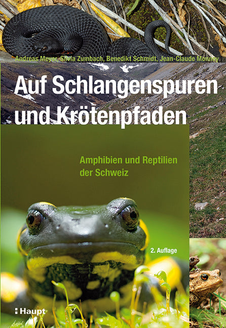 Auf Schlangenspuren und Krötenpfaden (Andreas Meyer)