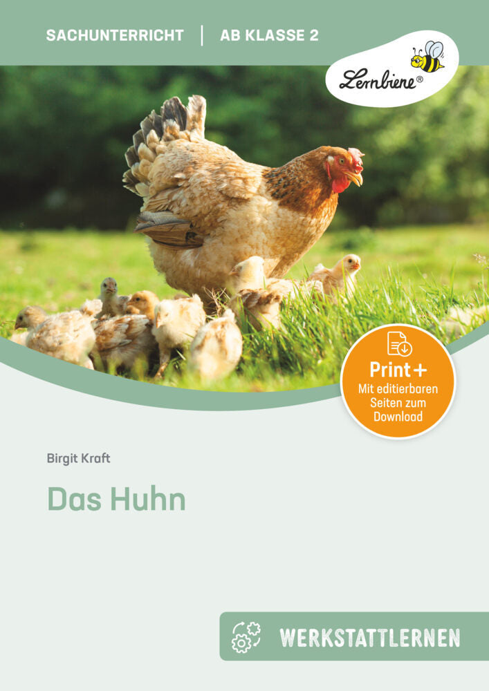 Das Huhn (Birgit Kraft)