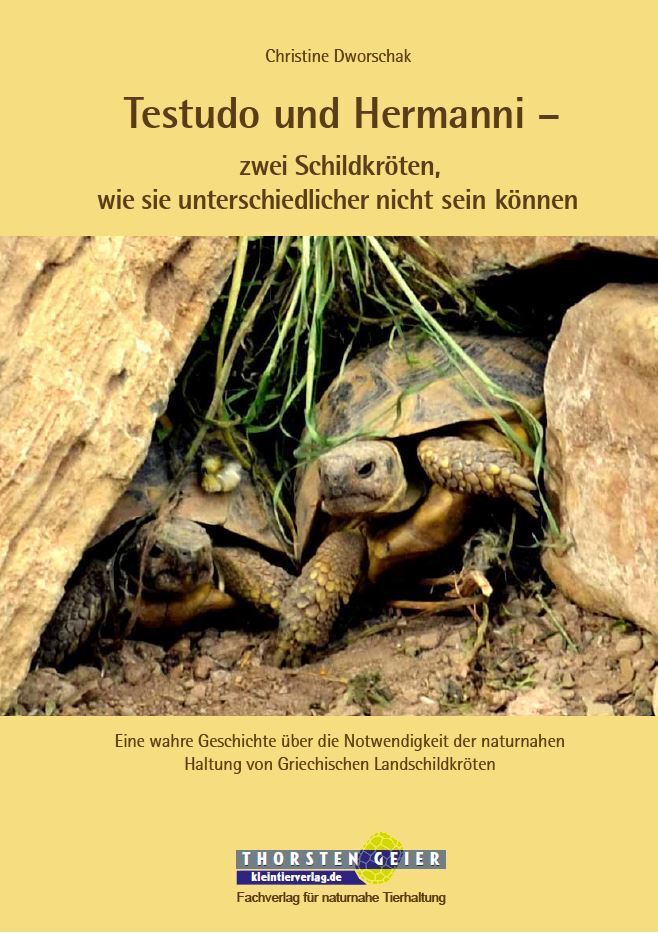 Testudo und Hermanni - zwei Schildkröten, wie sie unterschiedlicher nicht sein können (Christine Dworschak)
