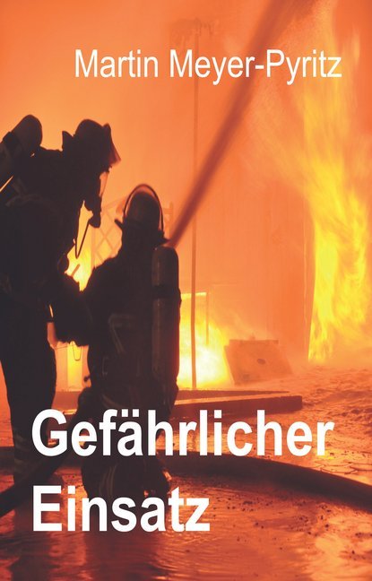 Gefährlicher Einsatz (Martin Meyer-Pyritz)