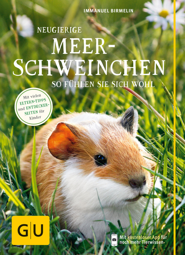 Neugierige Meerschweinchen (Immanuel Birmelin)