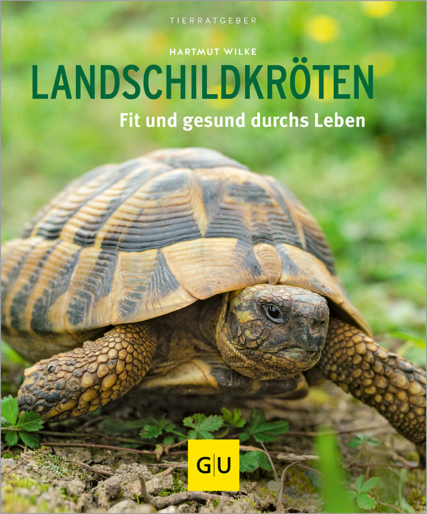 Landschildkröten (Hartmut Wilke)