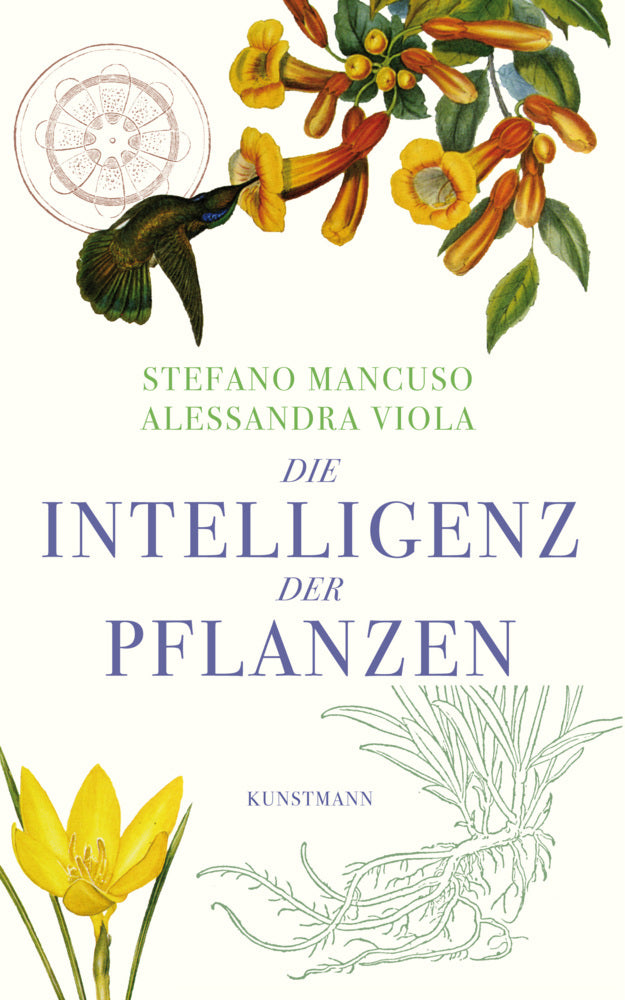 Die Intelligenz der Pflanzen (Alessandra Viola)