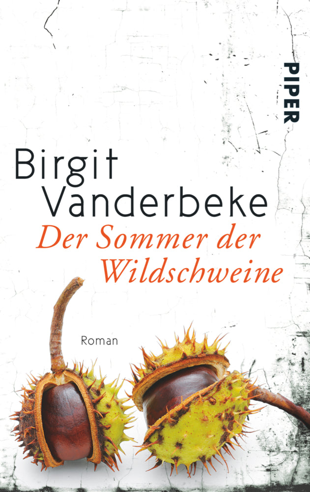 Der Sommer der Wildschweine (Birgit Vanderbeke)