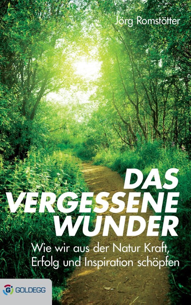 Das vergessene Wunder (Jörg Romstötter)