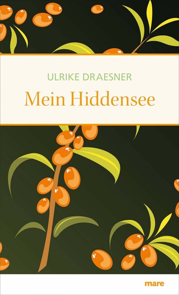 Mein Hiddensee (Ulrike Draesner)