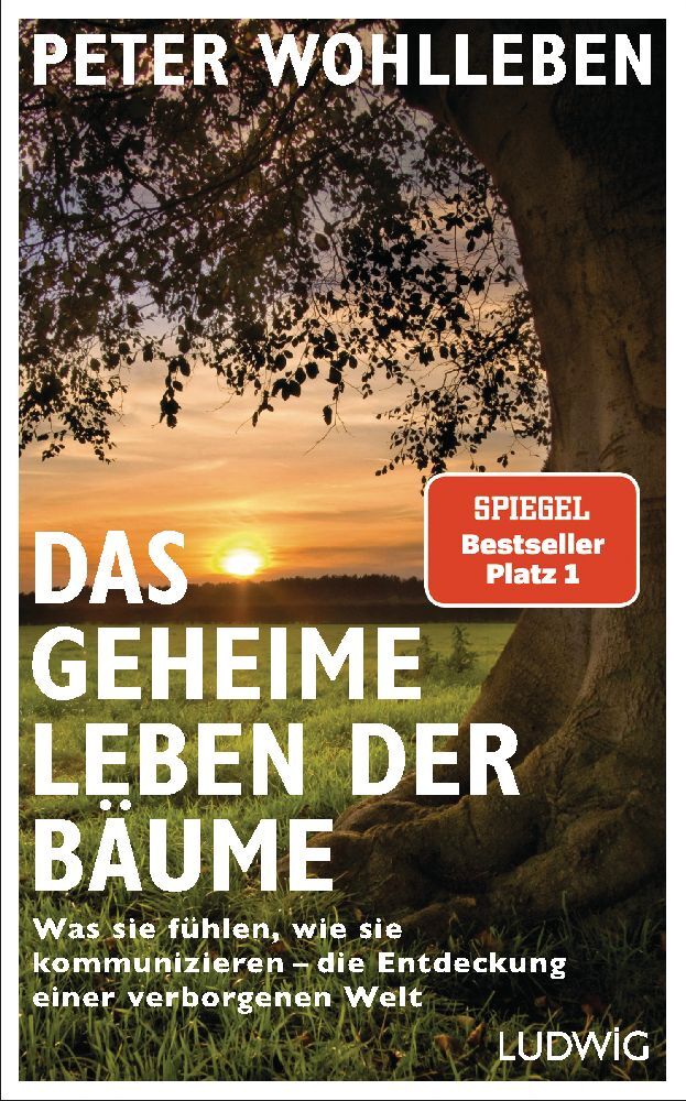 Das geheime Leben der Bäume (Peter Wohlleben)